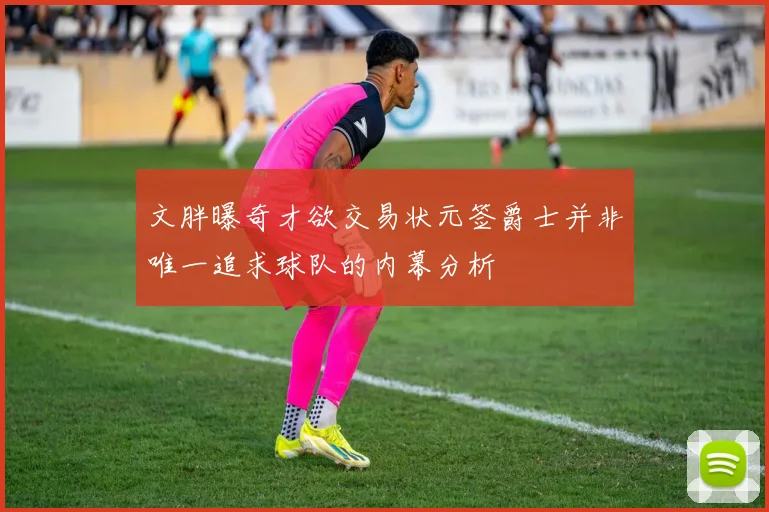 文胖曝奇才欲交易状元签爵士并非唯一追求球队的内幕分析